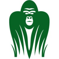 Jungle Software logo, Jungle Software contact details