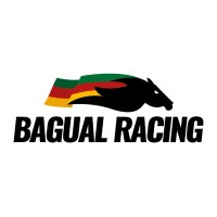 Bagual Racing - UFRGS logo, Bagual Racing - UFRGS contact details