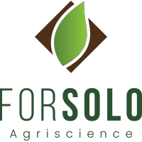 Forsolo logo, Forsolo contact details