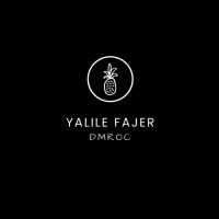 Yalile Fajer Consulting logo, Yalile Fajer Consulting contact details