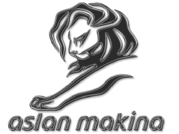 ASLAN MAKİNA logo, ASLAN MAKİNA contact details