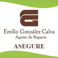 Asegure Emilio González Calva logo, Asegure Emilio González Calva contact details