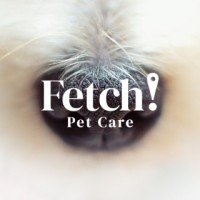 Fetch! Pet Care of The Woodlands logo, Fetch! Pet Care of The Woodlands contact details