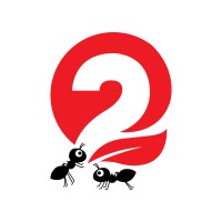 2ants logo, 2ants contact details