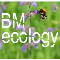 BM ecology logo, BM ecology contact details