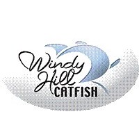 Windy Hill Catfish logo, Windy Hill Catfish contact details