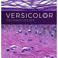 Versicolor Technologies logo, Versicolor Technologies contact details