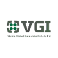 Vision Global Industrial SA de CV logo, Vision Global Industrial SA de CV contact details