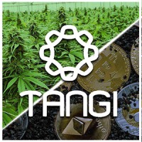 Tangi logo, Tangi contact details