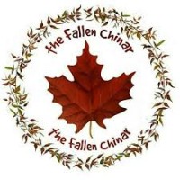 The Fallen Chinar logo, The Fallen Chinar contact details