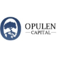 Opulen Capital logo, Opulen Capital contact details