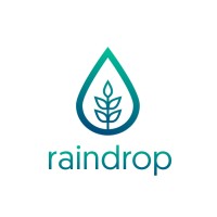 Raindrop Digital logo, Raindrop Digital contact details