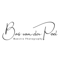 Maestro-Photography logo, Maestro-Photography contact details