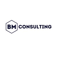 The BM Consulting LLC logo, The BM Consulting LLC contact details