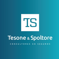 Tesone & Spoltore Consultores en Seguros logo, Tesone & Spoltore Consultores en Seguros contact details