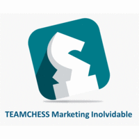 TEAMCHESS Marketing de Alto Impacto logo, TEAMCHESS Marketing de Alto Impacto contact details