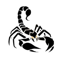 Black Scorpion logo, Black Scorpion contact details