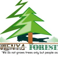 Ngwenya Forestry Services pty Ltd logo, Ngwenya Forestry Services pty Ltd contact details