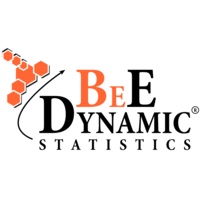 BeE Dynamic Statistics s.r.l. logo, BeE Dynamic Statistics s.r.l. contact details