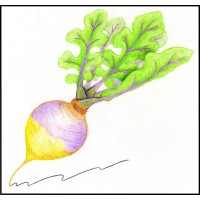 Rutabaga Writer logo, Rutabaga Writer contact details