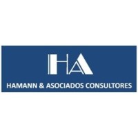 Hamann & Asociados, Consultores S.A.C. logo, Hamann & Asociados, Consultores S.A.C. contact details