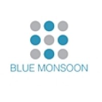 Blue Monsoon Capital logo, Blue Monsoon Capital contact details