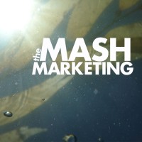 The Mash Marketing logo, The Mash Marketing contact details