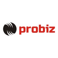 PROBIZ CONSULTING LLC logo, PROBIZ CONSULTING LLC contact details