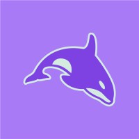 The Digital Orca logo, The Digital Orca contact details