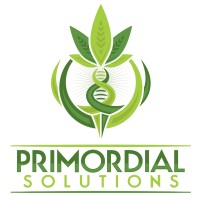 Primordial Solutions, LLC logo, Primordial Solutions, LLC contact details