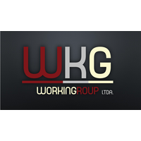 Workingroup Ltda. logo, Workingroup Ltda. contact details