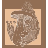 Grand River Mycology logo, Grand River Mycology contact details