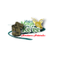 Aventuras Naturales logo, Aventuras Naturales contact details