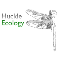 Huckle Ecology Ltd logo, Huckle Ecology Ltd contact details