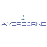 Ayerborne LLC logo, Ayerborne LLC contact details