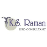 K.S. Raman Management Consultants logo, K.S. Raman Management Consultants contact details