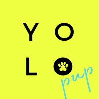 YOLO PUP logo, YOLO PUP contact details