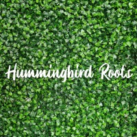 Hummingbird Roots logo, Hummingbird Roots contact details