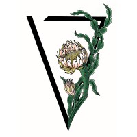 Vespertine Boutique logo, Vespertine Boutique contact details