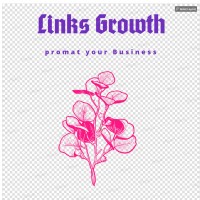 SEO Links Growth logo, SEO Links Growth contact details