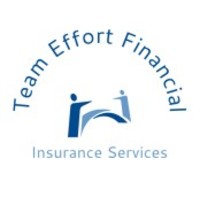 Team Effort Financial, LLC logo, Team Effort Financial, LLC contact details