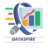 DataSpire Technologies logo, DataSpire Technologies contact details