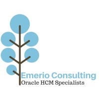 Emerio Consulting Inc. logo, Emerio Consulting Inc. contact details