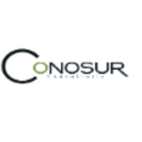 Conosur Consultoría logo, Conosur Consultoría contact details