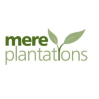 MERE PLANTATIONS LIMITED logo, MERE PLANTATIONS LIMITED contact details