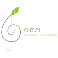 Germer Team logo, Germer Team contact details