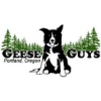 Geese Guys logo, Geese Guys contact details