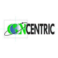 CONCENTRIC GROUP LLC logo, CONCENTRIC GROUP LLC contact details