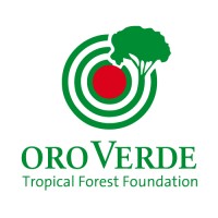 OroVerde – Tropical Forest Foundation logo, OroVerde – Tropical Forest Foundation contact details