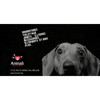 Boutique Animali logo, Boutique Animali contact details